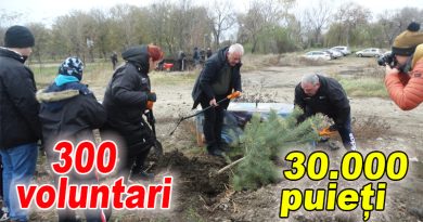 Acțiune de plantare azi în Buzău