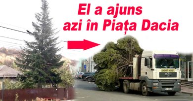 „L-am luat puiet de la Siriu și l-am plantat la Cernătești”